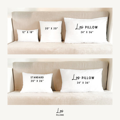 HIGH DESERT - Los Pillows